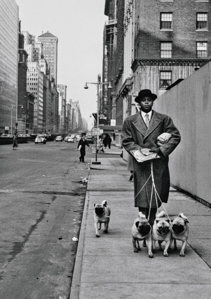 Park Avenue, New York, 1956 by Mario De Biasi