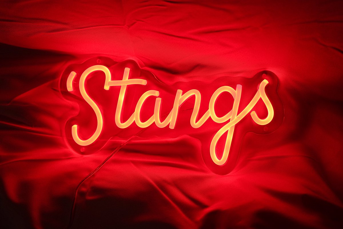 A few shots from our photo shoot before MCN! #StangStandard work from our guy <a href="/gottfather63/">Gottfather Productions</a> 
#STANG106