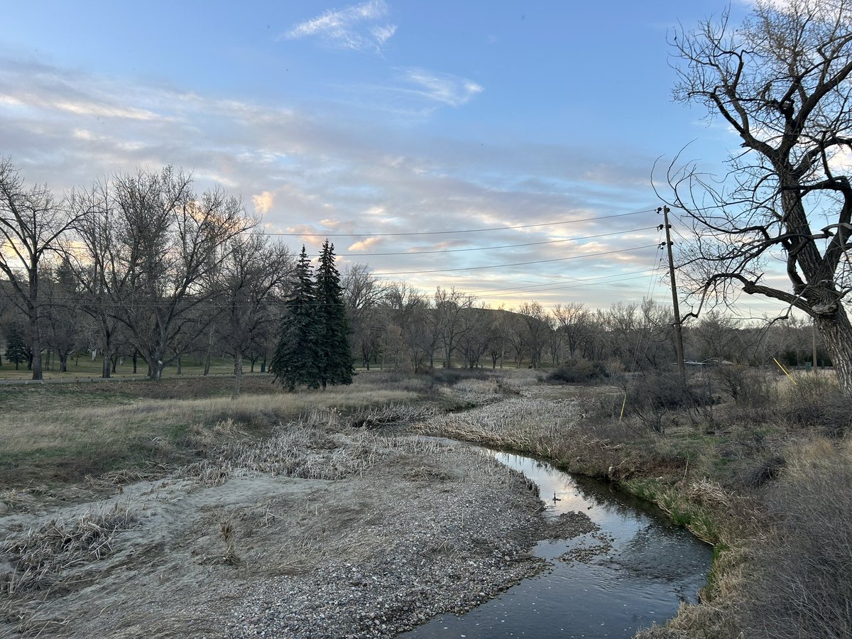 HatLawnBowler's tweet photo. Tuesday evening. #sevenpersonscreek #sharethetrailmh #medhat #springinalberta https://t.co/NLzcxya6ze