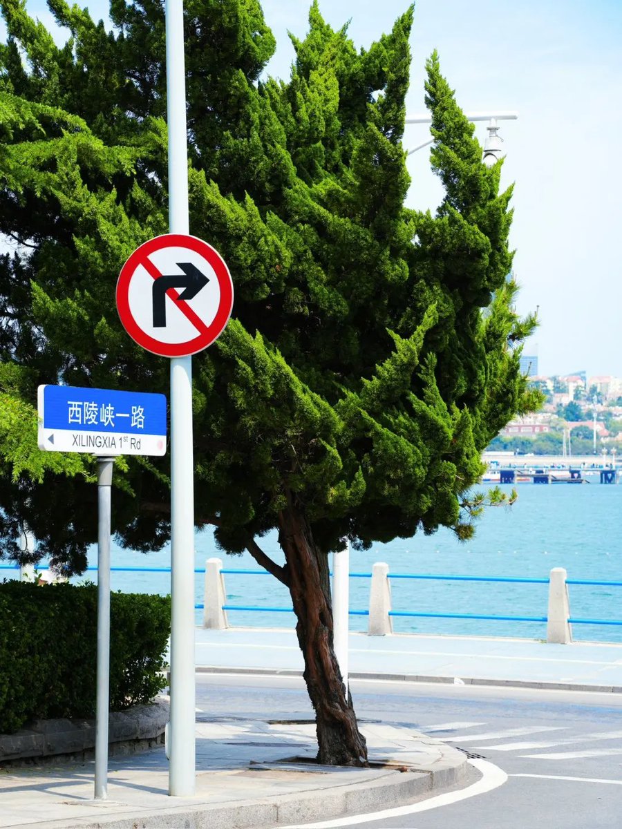 jjerjin's tweet photo. Sunny Qingdao is simply the epitome of earthly paradise—every corner is breathtaking~
#JustGoForIt #TravelBeyondChecklists #MyTravelInRealTime #SeasideCitiesArePureRomance #BeachsidePhotography https://t.co/YPtk6tZlp4