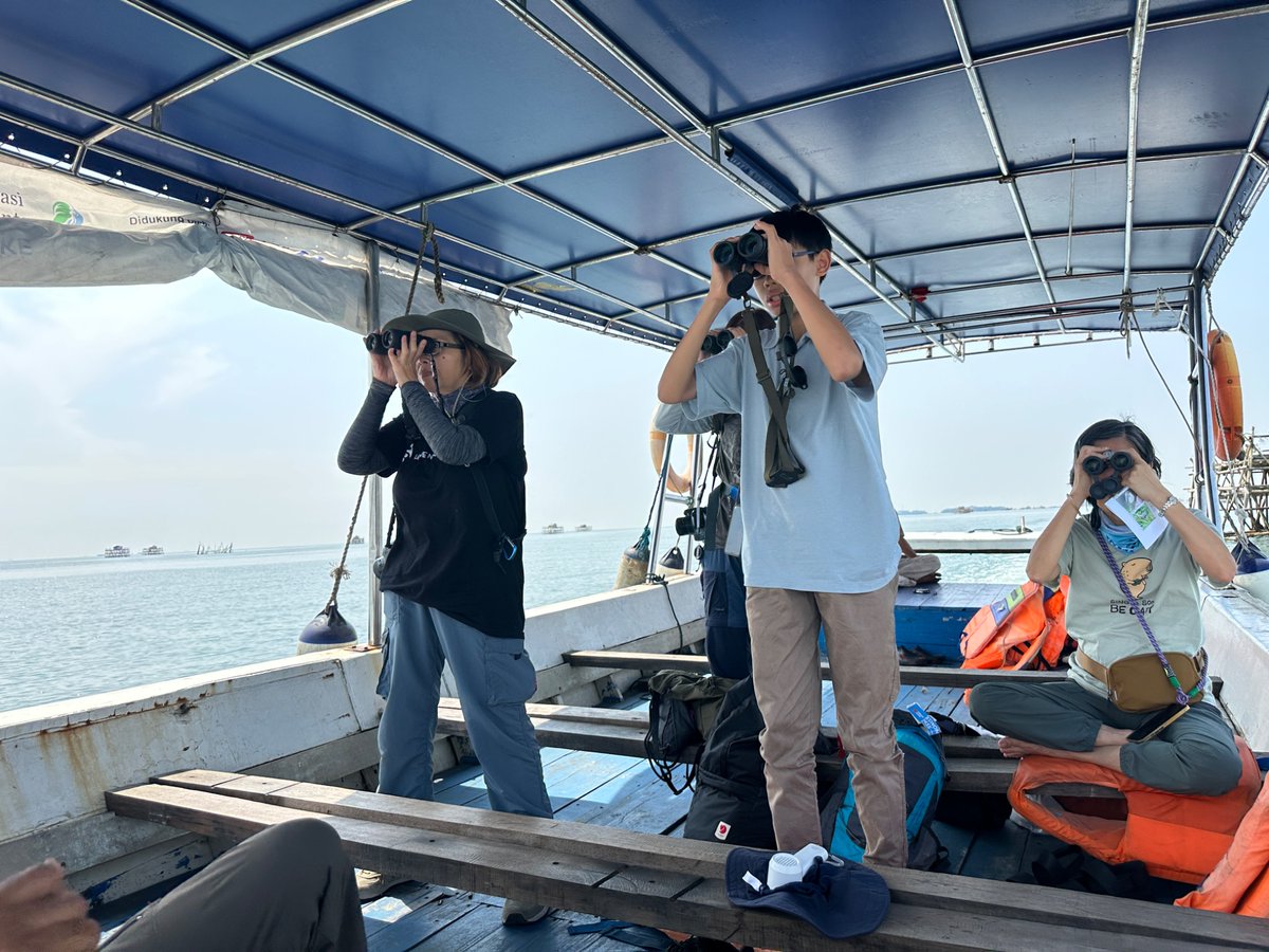 Today we went Birding around Muara Angke and Jakarta Bay.

Highlighted species was Sunda Coucal, Bar-winged Prinia, Sunda Teal, Cerulean Kingfisher, and the two Frigatebirds (Christmas &amp; Lesser)