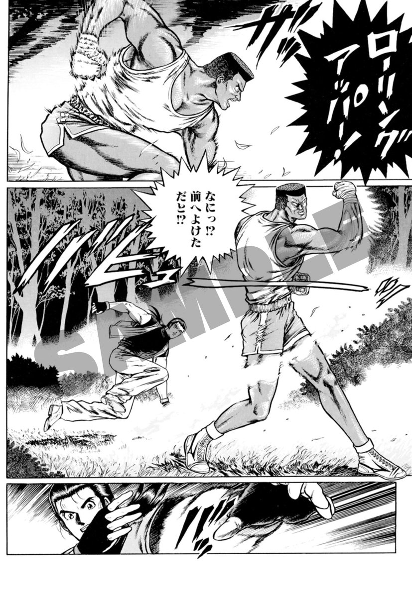 竜虎の拳2 2　ゲーメストコッミクス 龍虎の拳2 (2) (ゲーメストコミックス) | 天獅子 悦也 |本