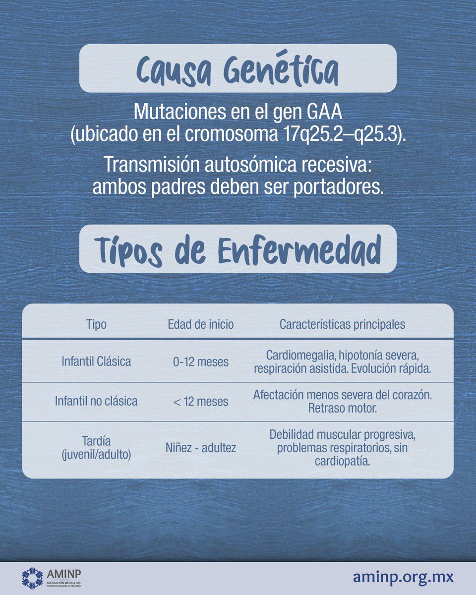 aminpmx's tweet photo. Día Internacional de la Enfermedad de Pompe 🧬 15 de abril

⚠️ Enfermedad rara que afecta los músculos y la respiración.
  🔹 Causada por acumulación de glucógeno.  🔹 Puede generar debilidad muscular progresiva.

📢 Diagnóstico temprano = mejor calidad de vida. 

#aminp #inp https://t.co/S2MPfWOZqS