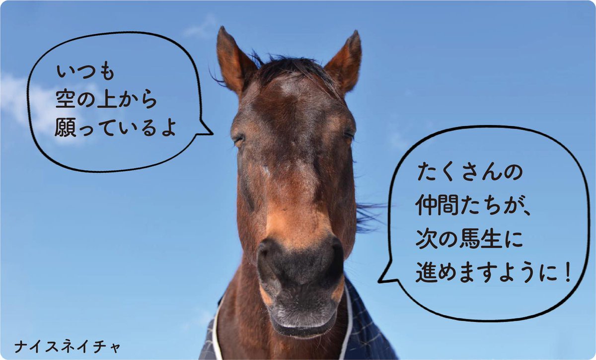 三河屋のメンチカツ (kashiya85@) / X