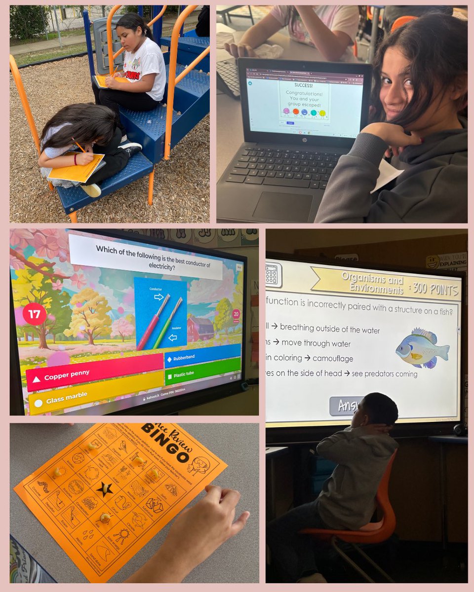 msagarcia31's tweet image. Science STAAR survival mode: activated! 🧪 Our 5th graders rocked their review stations today. Huge shoutout to my flexible and fabulous team! Let&apos;s go, 5th grade! You&apos;ve got this! 🚀🔬 #STAARReady #ScienceFun #TeamworkMakesTheDreamWork 
💪 #STAARCountdown  #TeacherLife