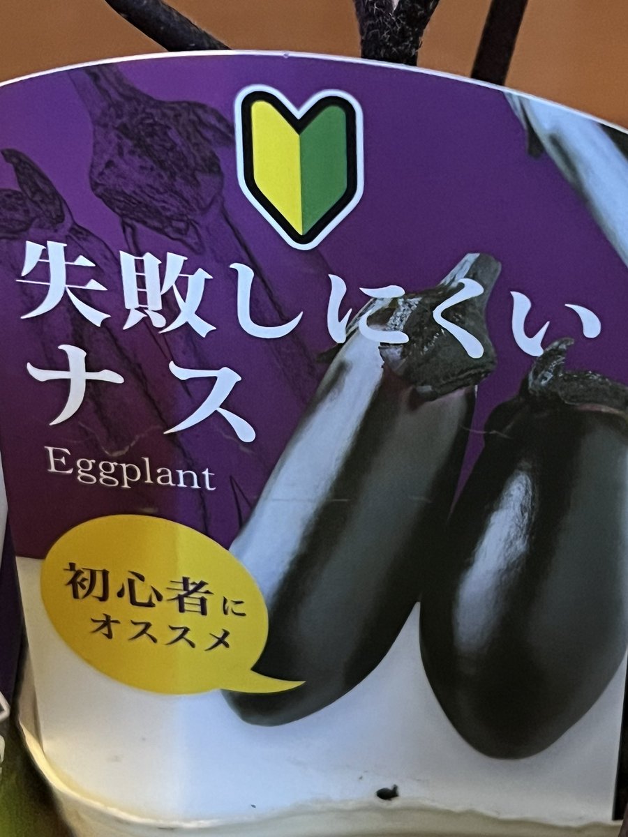 おはこんにちばんわ✨なおちこです😄

風が強いですが、いい天気で
ありがたいことです☀️
ナスさんとピーマンくんの苗を購入🌱
ナスさんに至っては初心者にオススメ
ってのがあったので😆👍🏻
植えるのは次のお休みの時かなぁ💡

#ナス
#ピーマン
#家庭菜園