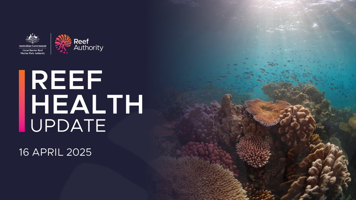 Our latest Reef health update is now available, along with our Reef snapshot: summer 2024-2025 - <a href="/aims_gov_au/">Australian Institute of Marine Science</a> and <a href="/CSIRO/">CSIRO</a>. To view the update and Snapshot, visit - gbrmpa.gov.au/learn/reef-hea… #ReefHealth #LovetheReef