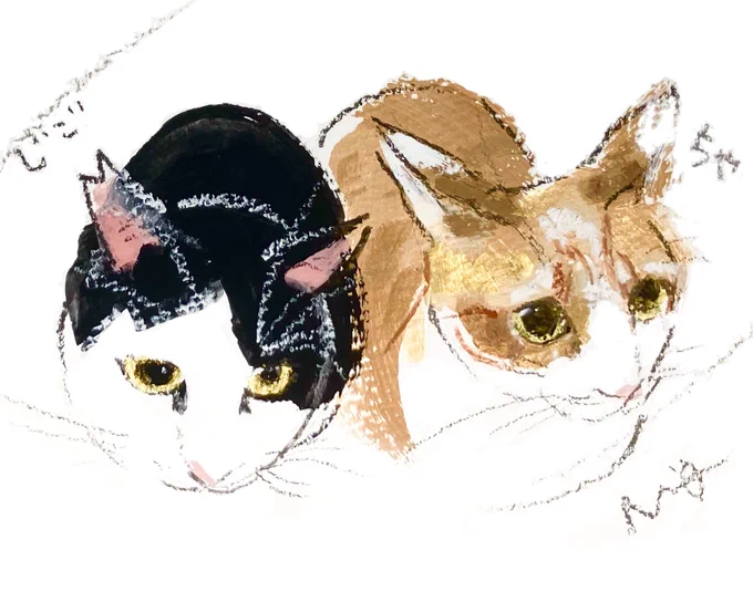 猫さんオーダー作品のご紹介 茶と黒のハチワレ猫さんたちです ※私の出展は終了しましたが 阪神梅田本店 「猫いっぱいギャラリー」は 4/22(火)まで開催中です #オーダーイラスト