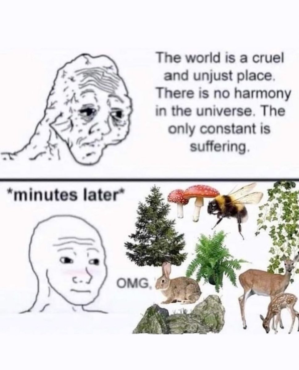 https://t.co/Wo2Q0U5FlS