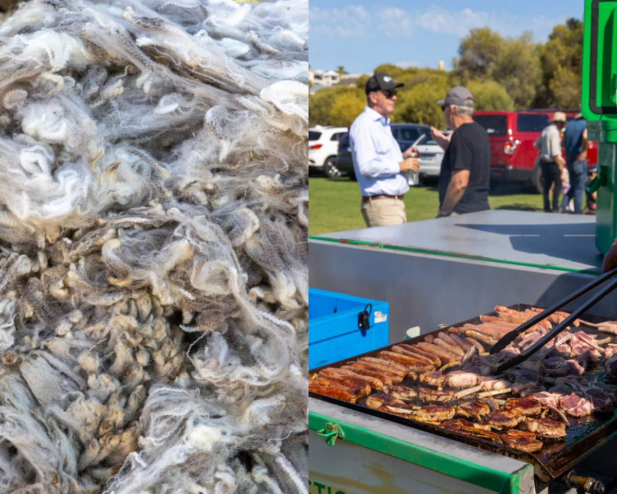 KeepTheSheep tweet media