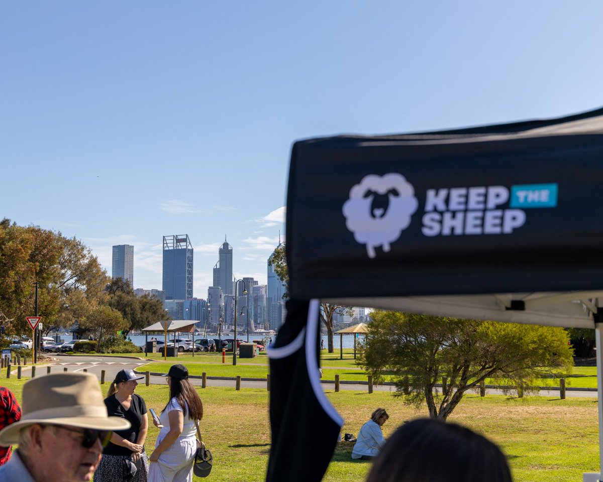 KeepTheSheep tweet media
