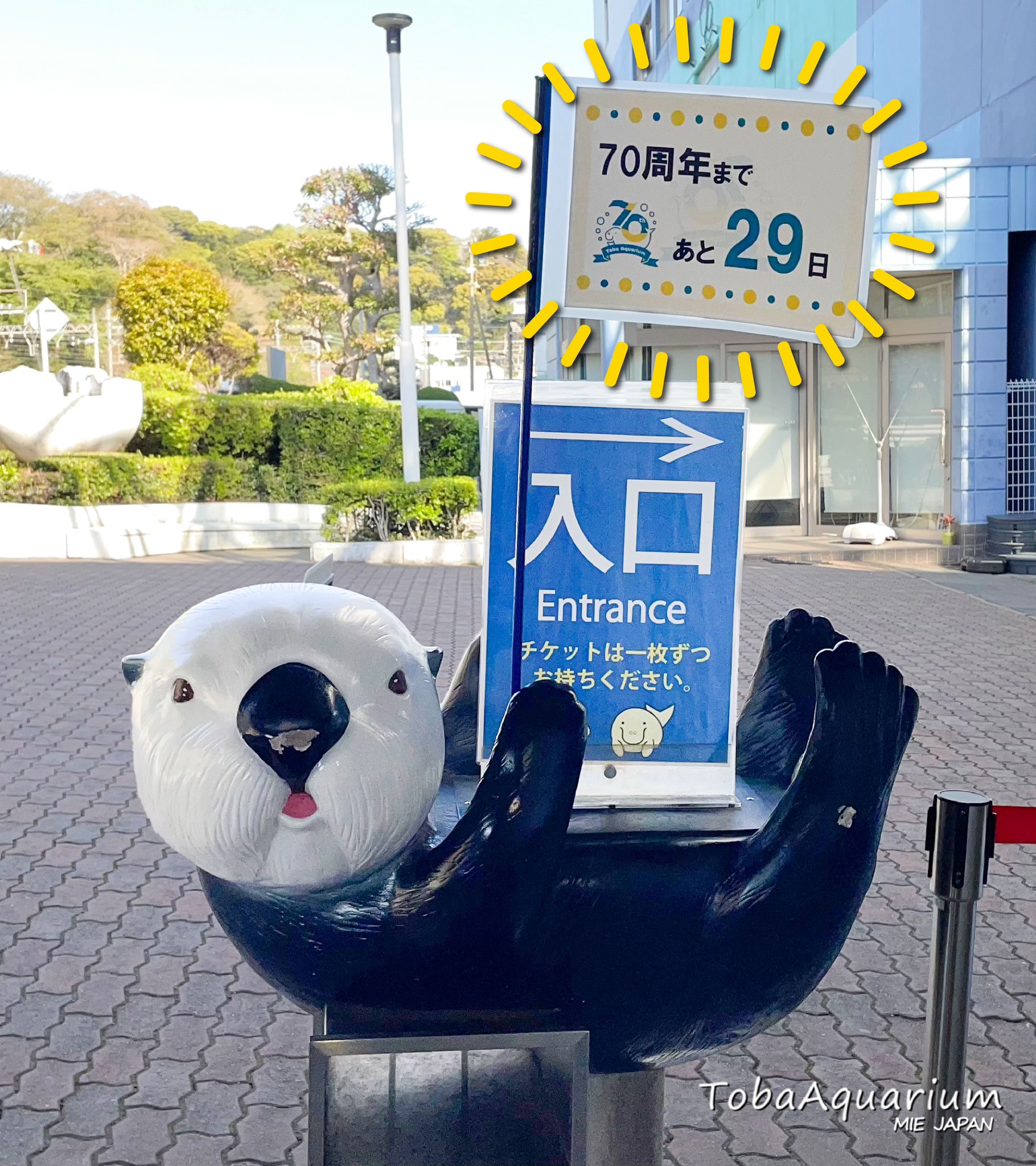 鳥羽水族館(TOBA AQUARIUM) on X: 鳥羽水族館(TOBA AQUARIUM) on X: