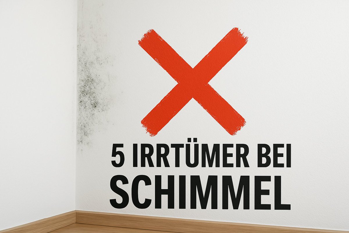 5 Irrtümer bei Schimmel – und was wirklich stimmt: Schimmel in Innenräumen wird häufig mit hoher Luftfeuchtigkeit gleichgesetzt. Doch viele gängige Annahmen führen bei der Sanierung oder Vorbeugung in die Irre – und bergen sogar Gesundheitsrisiken. Diese… dlvr.it/TKB8gt