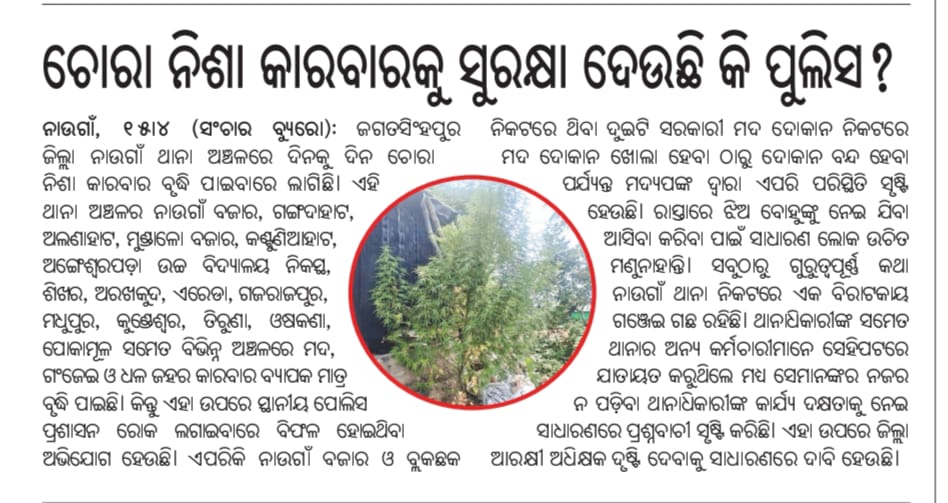 DebajyotiMohan9's tweet photo. ଜଗତସିଂହପୁର ଜିଲ୍ଲା ନାଉଗାଁ ରେ ଚୋରା ନିଶା କାରବାର ଦିନକୁ ଦିନ ବୃଦ୍ଧି ପାଇବାରେ ଲାଗିଛି ପୋଲିସ୍ ନୀରବଦ୍ରଷ୍ଟା @CMO_Odisha @CollectorJspur @DGPOdisha @jspurpolice Please look into this matter and take necessary action 🙏🙏 https://t.co/LOGVpjIne1
