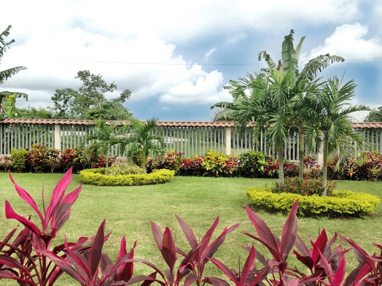martinezch11's tweet photo. Sometimes life launches you to take some calculated risks for the betterment of your family and your future self…

I’m very grateful to have had the insight and opportunity to invest at the right time. I purchased a little bit of property in beautiful, Ecuador! 🙏🏼🇪🇨🖌️ https://t.co/Sk2ZIyi2Cc