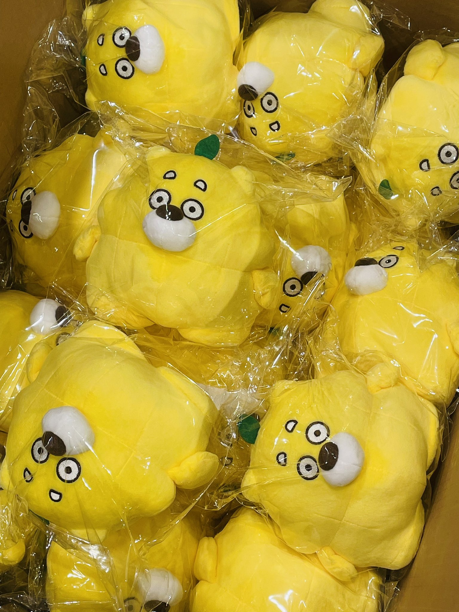 広島ご当地キャラ「ひろくま」公式グッズがお土産ショップのekie