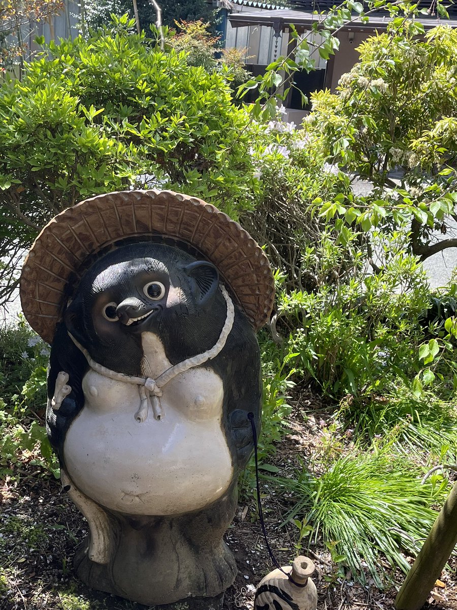 厄祓いに #琴平神社 へ
何年かぶりにきて色々思い出しました。
娘のお宮参り、七五三もここでした。
帰りは心が軽くなりました😊