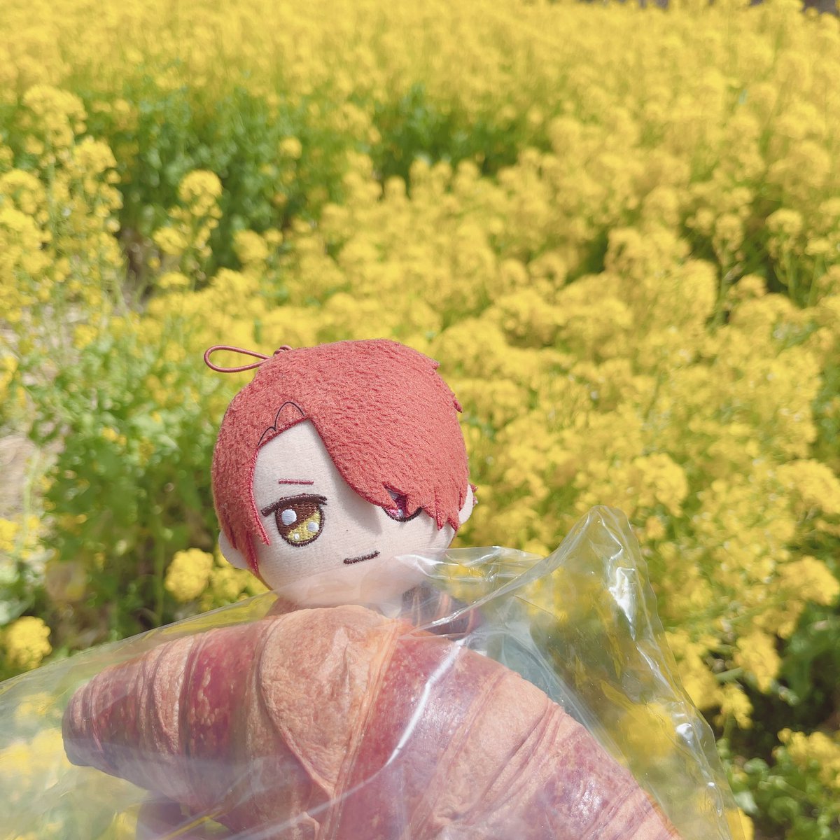 きらきらクロワッサンだ🥐✨️

#まほやく_ぬい