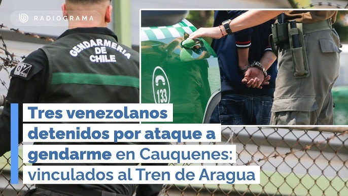 GradeGeorge's tweet photo. Hay que expulsar de Chile a todos los venezolanos indocumentados ! 

¡¡¡¡  A   T O D O S   !!! https://t.co/7Cmqc5xUGW
