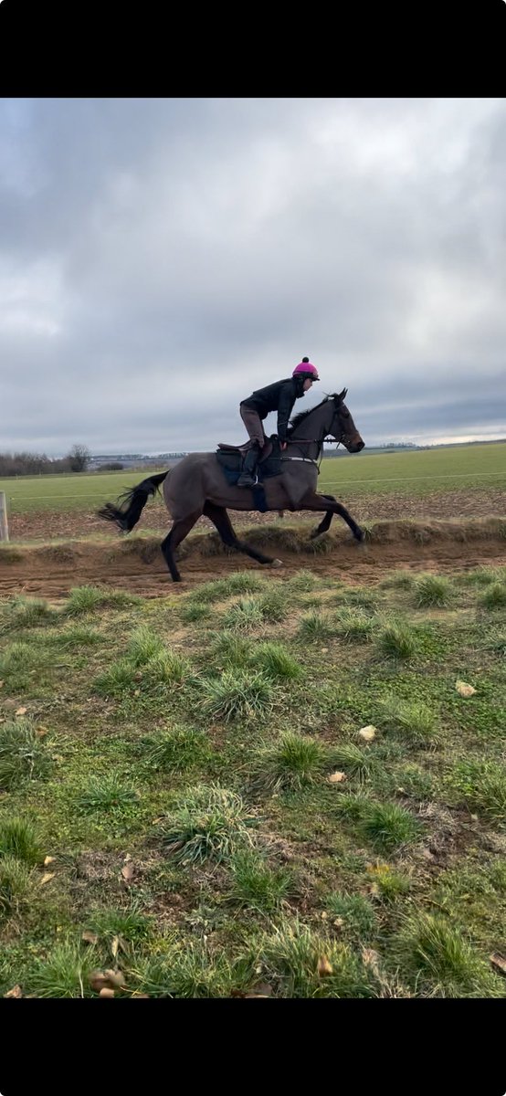 When Mum &amp; Dad joined syndicates at <a href="/FOBRacing/">Fergal O'Brien Racing</a> they were hopeful of some exciting days racing. Poppy, Ned and AJ have all won in the past. Today dreams come true with a runner <a href="/CheltenhamRaces/">CheltenhamRacecourse</a>! Go well Tom and AJP Kingdom!