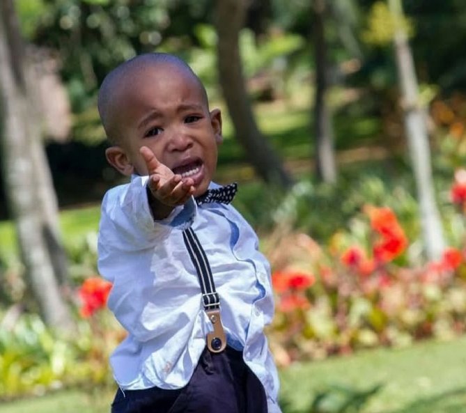 MoKing256's tweet image. Why all that hatred 
Push me atleast to 1k  jxt for jxt