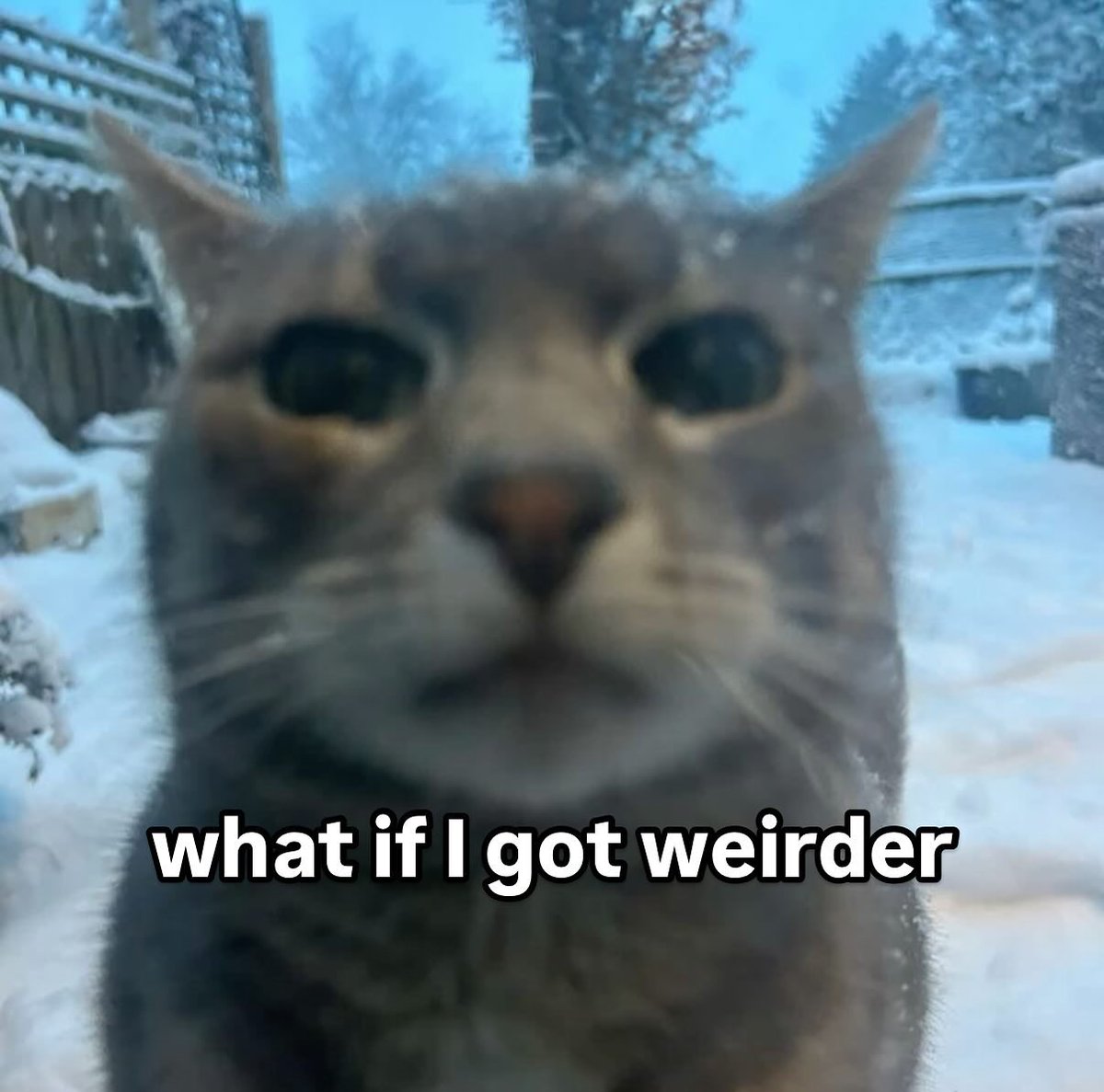 What if ?