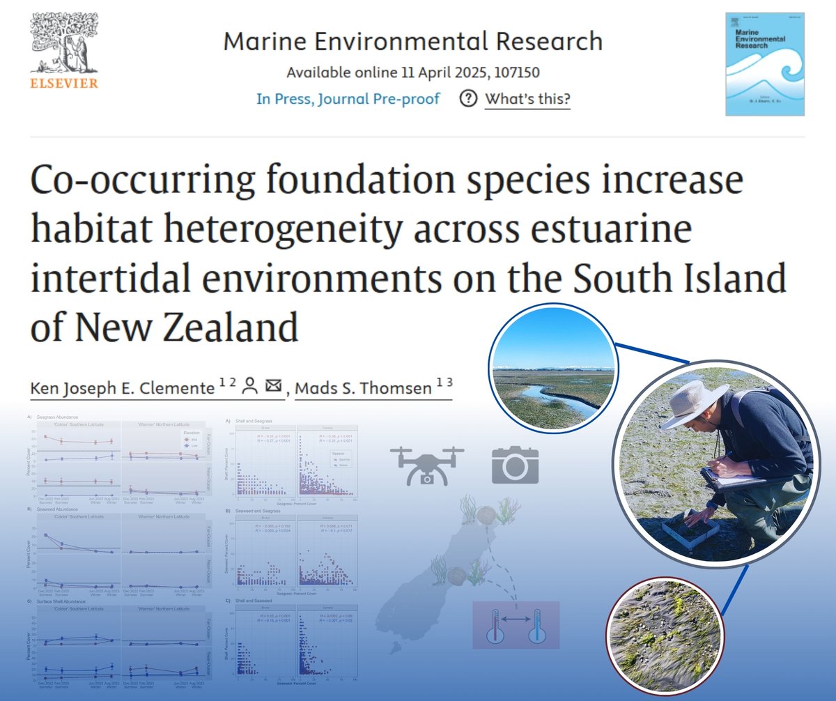 📢NEW PAPER ALERT🌊
Sharing my paper recently published in Marine Environmental Research! Aquatic #FoundationSpecies + Climatic #StressGradient + #Drones + other things #Muddy! Not my best work, but it wraps up the thesis saga!

🔗doi.org/10.1016/j.mare…

#PhDLife #AquaticEcology