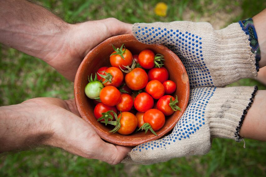 MedilytixC's tweet photo. As disasters—natural or man-made—become more frequent and unpredictable, the food industry plays a vital role in ensuring communities stay nourished and supported.

Read More:           https://t.co/FiglfajOqg

#FoodSecurity #CulinaryResilience #DisasterPreparedness https://t.co/lKkXTovOck