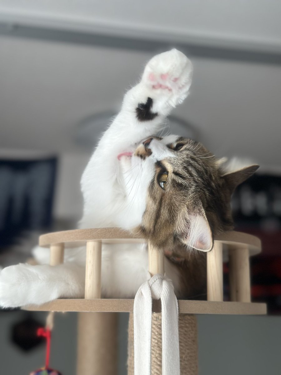 お仕事行って来ますしたら応援してくれた