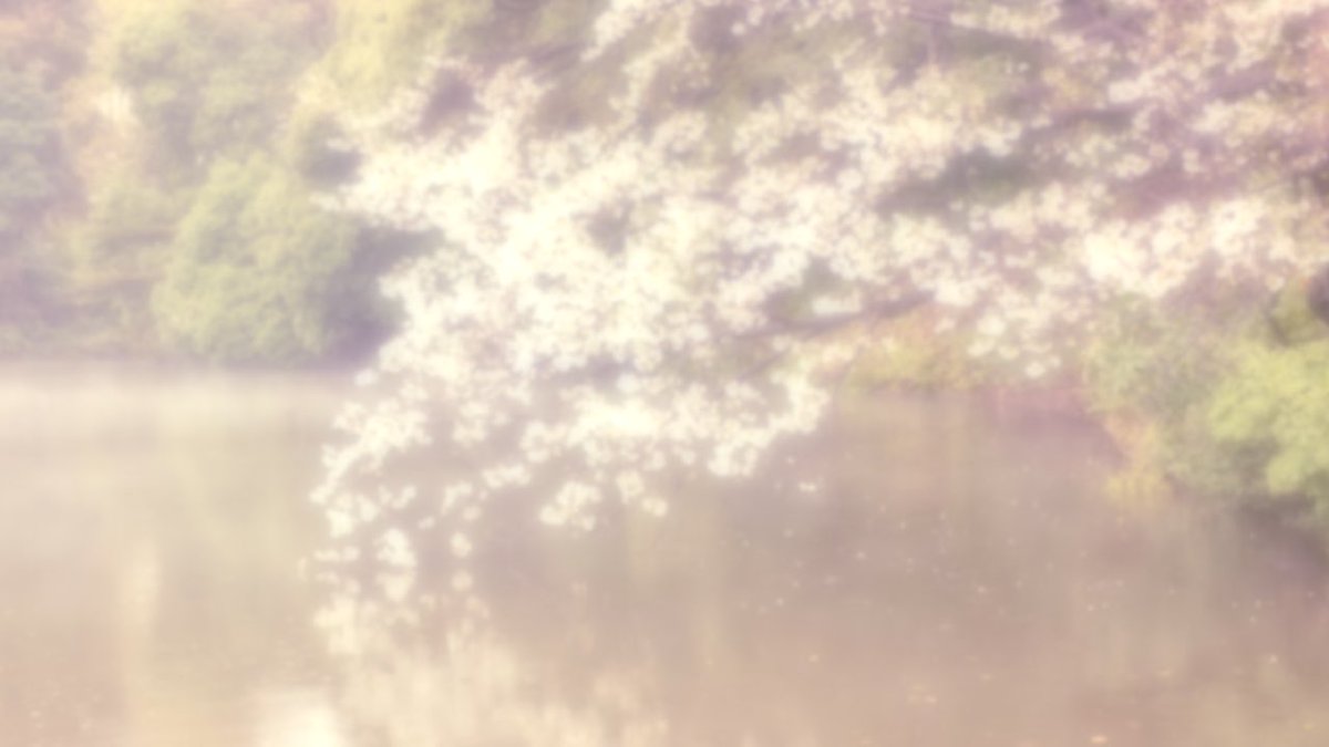 satosii 🌌🌻 tweet media