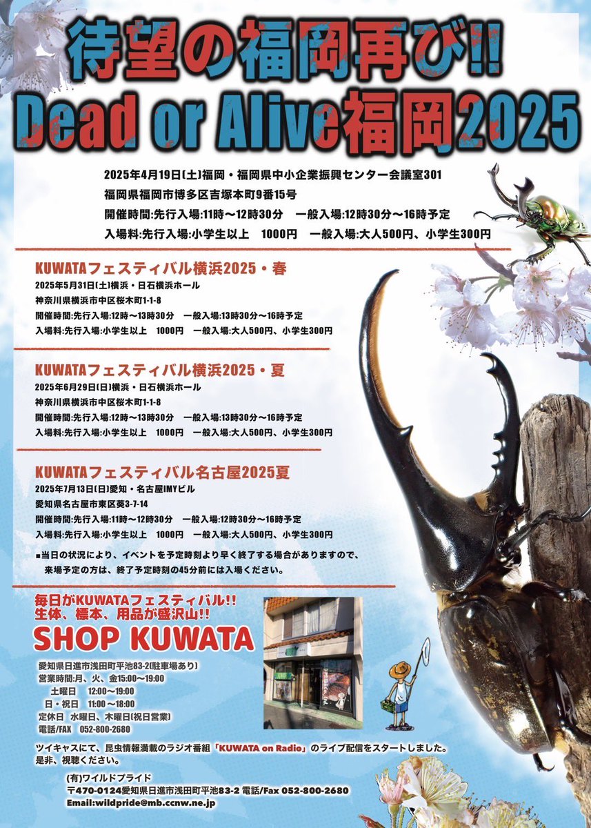 いよいよ今週末19日土曜日に、Dead or Aluve福岡2025春を開催します