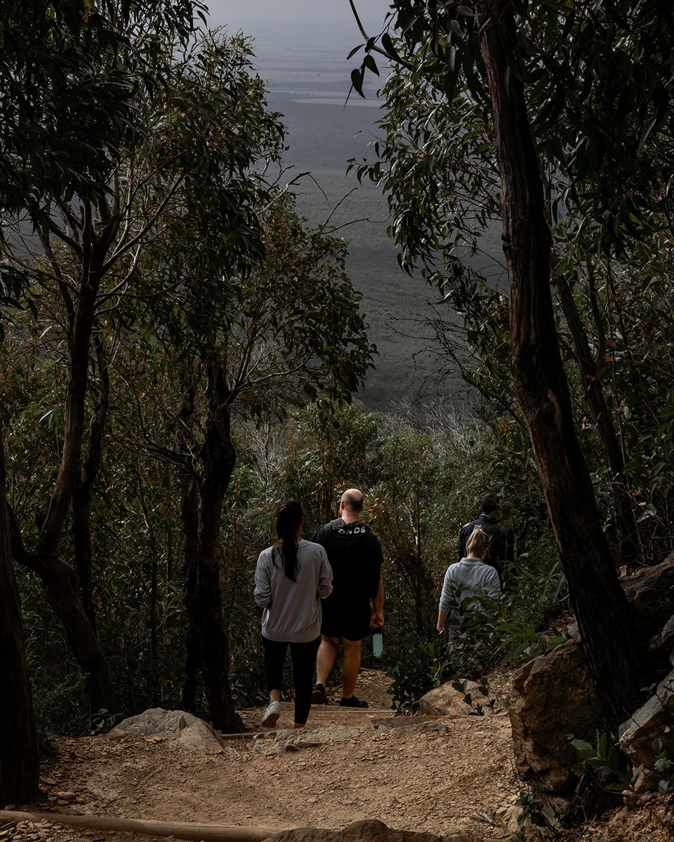 gointerstate's tweet image. Bluff Knoll is 1099 metres above sea level. One minute, you’re basking in the sun, and the next, you’re hiking through thick mist with the wind howling around you. They say pack for all seasons on this hike and they weren&apos;t wrong. ⁠
⁠
What&apos;s your favourite WA hike?