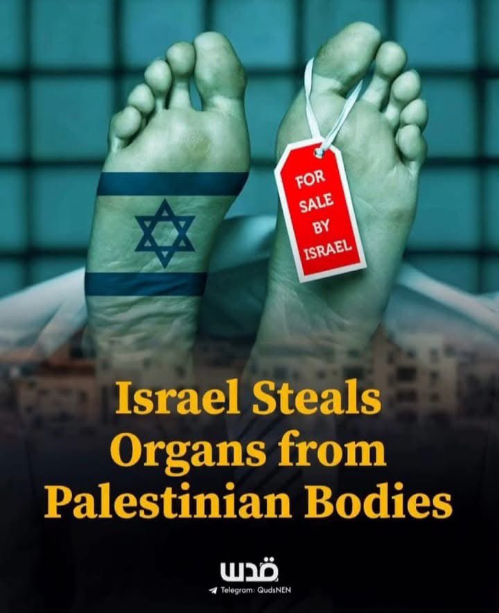 This is Zionism
Palestine is not for sale. This is genocide, not war.
Share and spread their Real face
 #FreePalestine #StopTheGenocide #earthquake #earthquake #zelena #Palestine #Gaza #dolar #iran #HalaMadrid