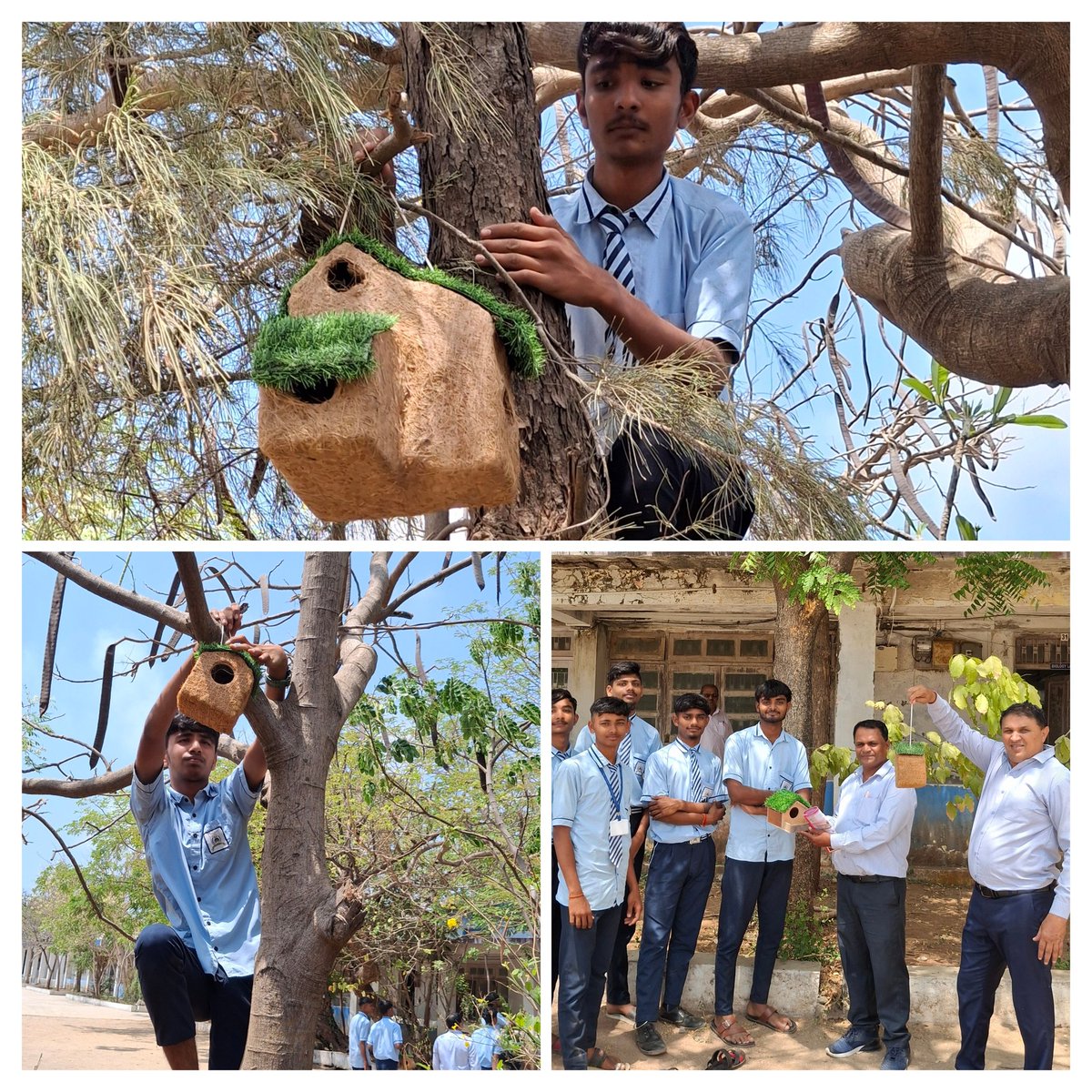 NssGhssDiu's tweet photo. #MYBHARAT #NSS volunteers of GHSS Diu.
Hanging bird nests and water trays to save birds in Summer.
#SaveSparrow
#savelittlecreatures
 under #nssspecialcamp
#yuva
@YASMinistry @_NSSIndia @nssgujarat @PMOIndia  @CollectorD32563
@NSSRDAhmedabad
@DamanPublicity https://t.co/qoy13tPSNE