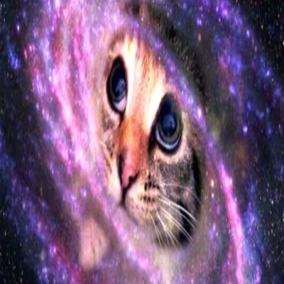 CelestialSushi's tweet photo. #NovaFotoDePerfil https://t.co/Pa03yjGCeT
