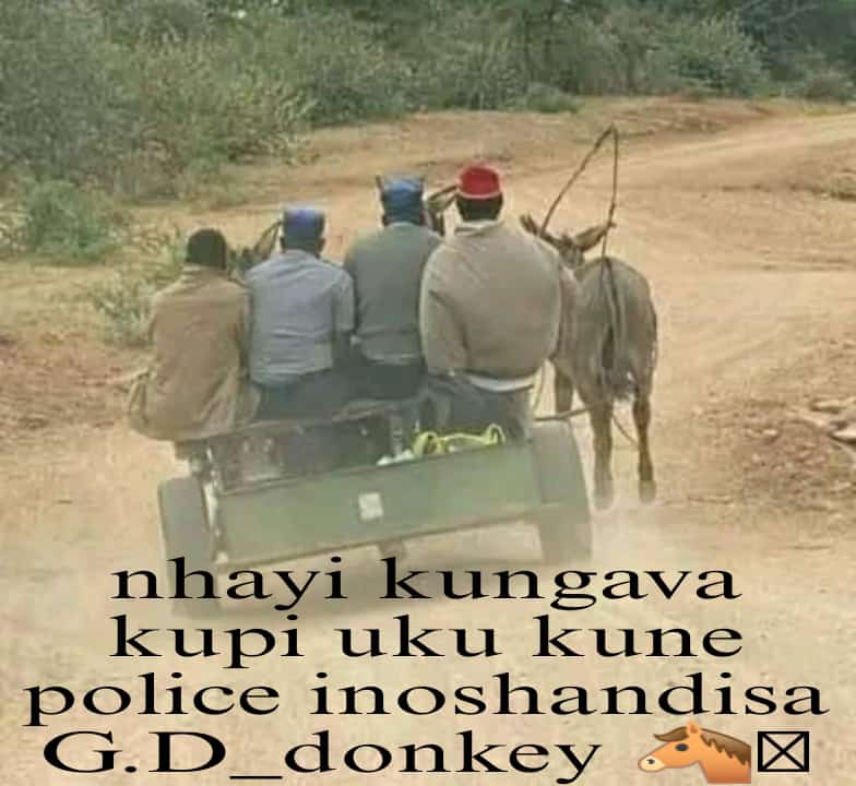 RappidZw's tweet image. Zimbabweans have seen it all… now there’s a Gd donkey damn people got bars.
Yeah, He still uses the unlikely to shake the table.
This ain&apos;t clout — it&apos;s calling.
This ain&apos;t rap — it&apos;s revelation in rhythm.

#FaithInBars #GospelDrill #HolyFlow #PurposeInTheBars #TestimonyInMotion