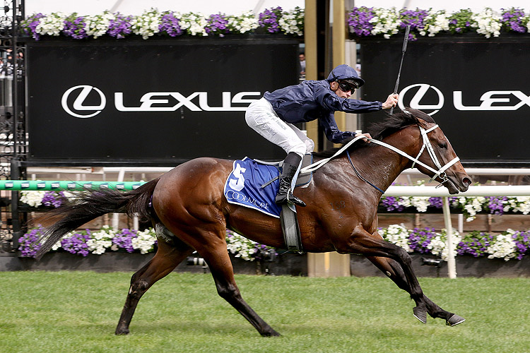 "Switzerland is a horse that we have been looking forward to standing at Coolmore for a long time."
Star son of Snitzel retired, introductory fee announced.
racingandsports.com.au/news/racing/ne…