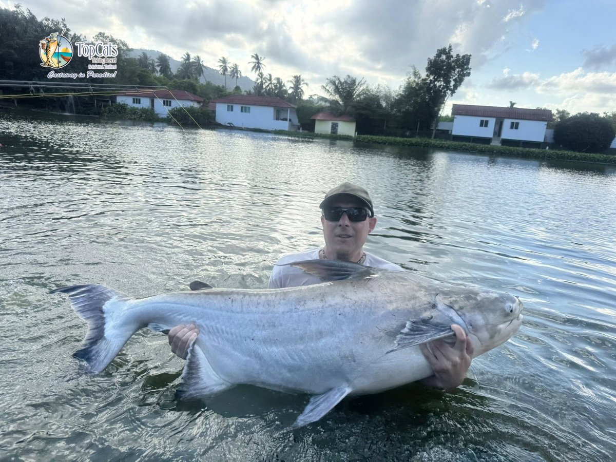 TopCatsThailand's tweet photo. Over the past few days, two incredible fish were caught—both on the very first cast during half-day sessions! And yes, both took the bait on our double Jungle-flavoured boilies—a Pallatrax flavour, a unique mix of Tiger and Peanut from the legends at Pallatrax.
#Gripz #GammaLine https://t.co/plVwm0FlHR
