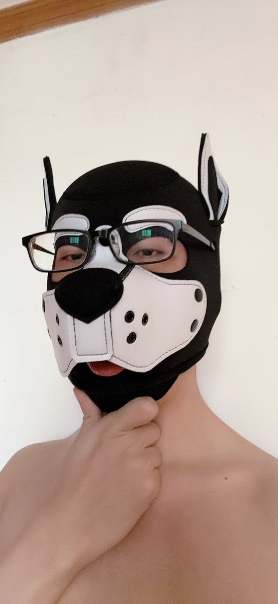 接下来以小狗形态出击！