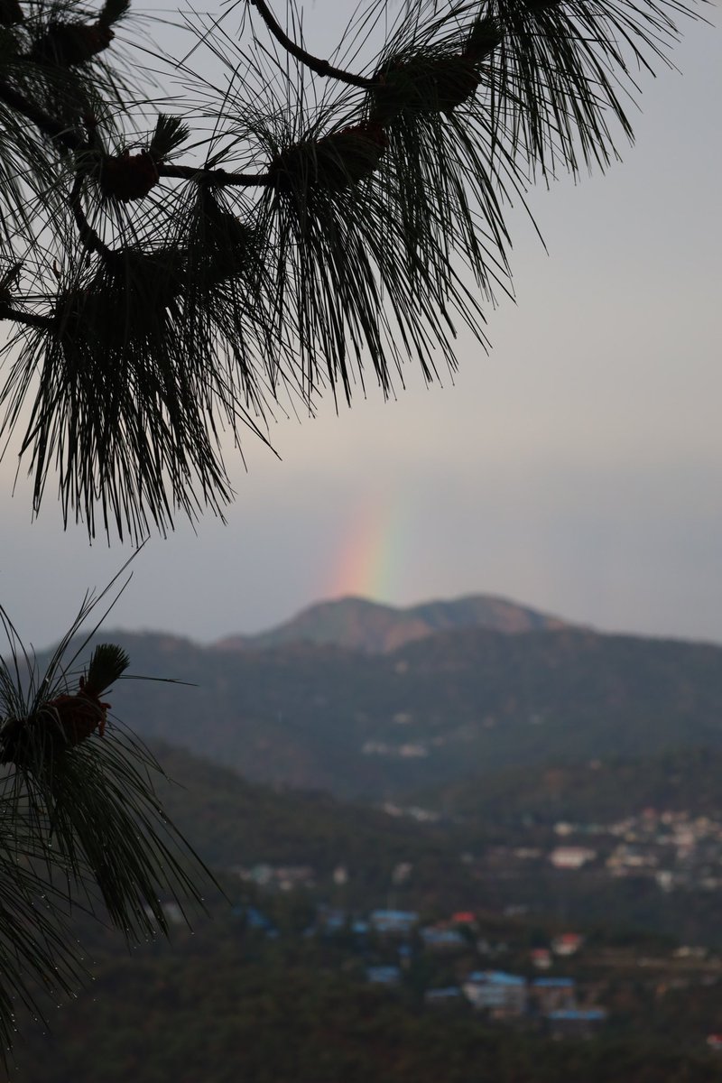 freudianflips's tweet photo. When the world seems to shine like you’ve had too much wine, you’re in Kasauli. https://t.co/uuRlUHXO9g
