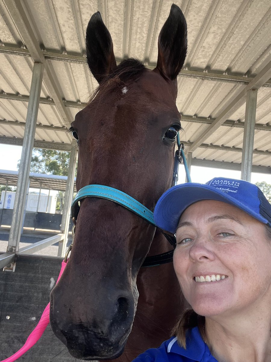 Racing at Tamworth tomorrow with Elegant Grooves and the. The minis race on Saturday and Sunday! Family time!

📸 The Queen! Twinkle ⭐️