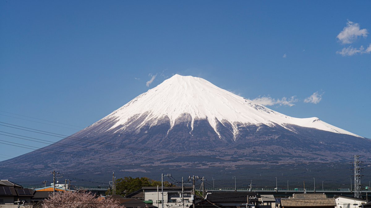 matsudaphoto's tweet photo. 2025年4月16日（水曜日）
午後14時26分

LEICA M-P240[ブラックペイント]    
  LEICA TELE-ELMARIT 90mm F2.8 https://t.co/gk5AaWxpFm