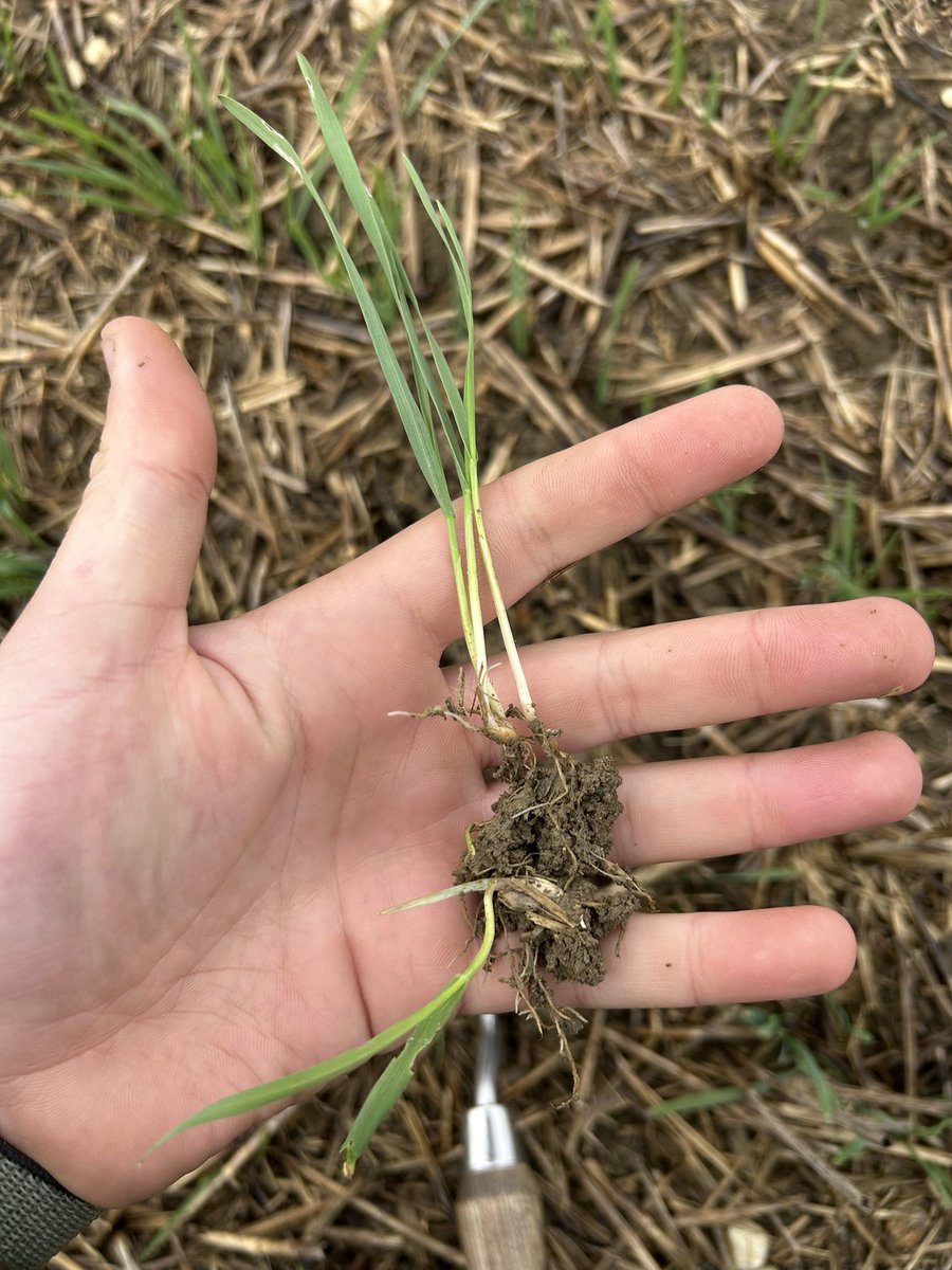 Ed blake tweet media