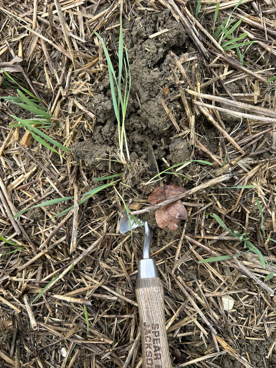 Ed blake tweet media