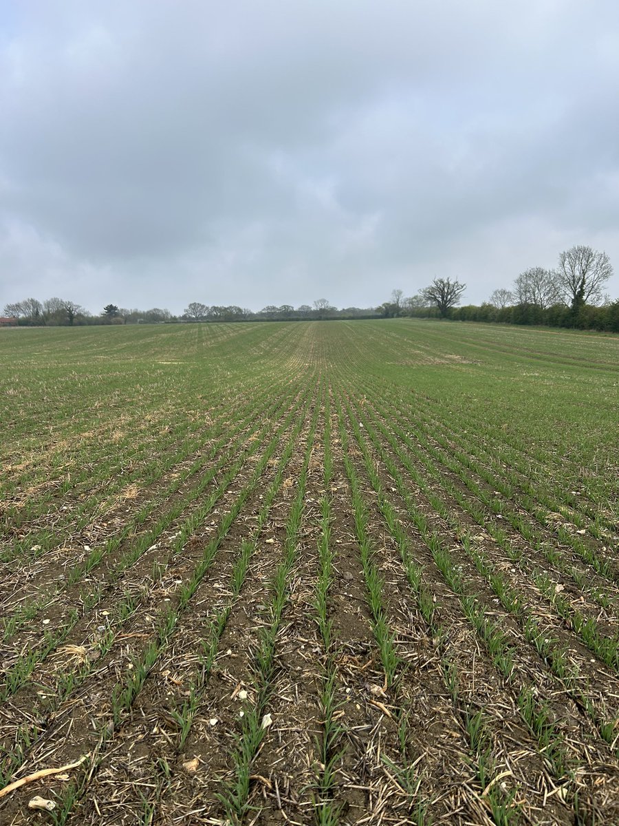 Ed blake tweet media