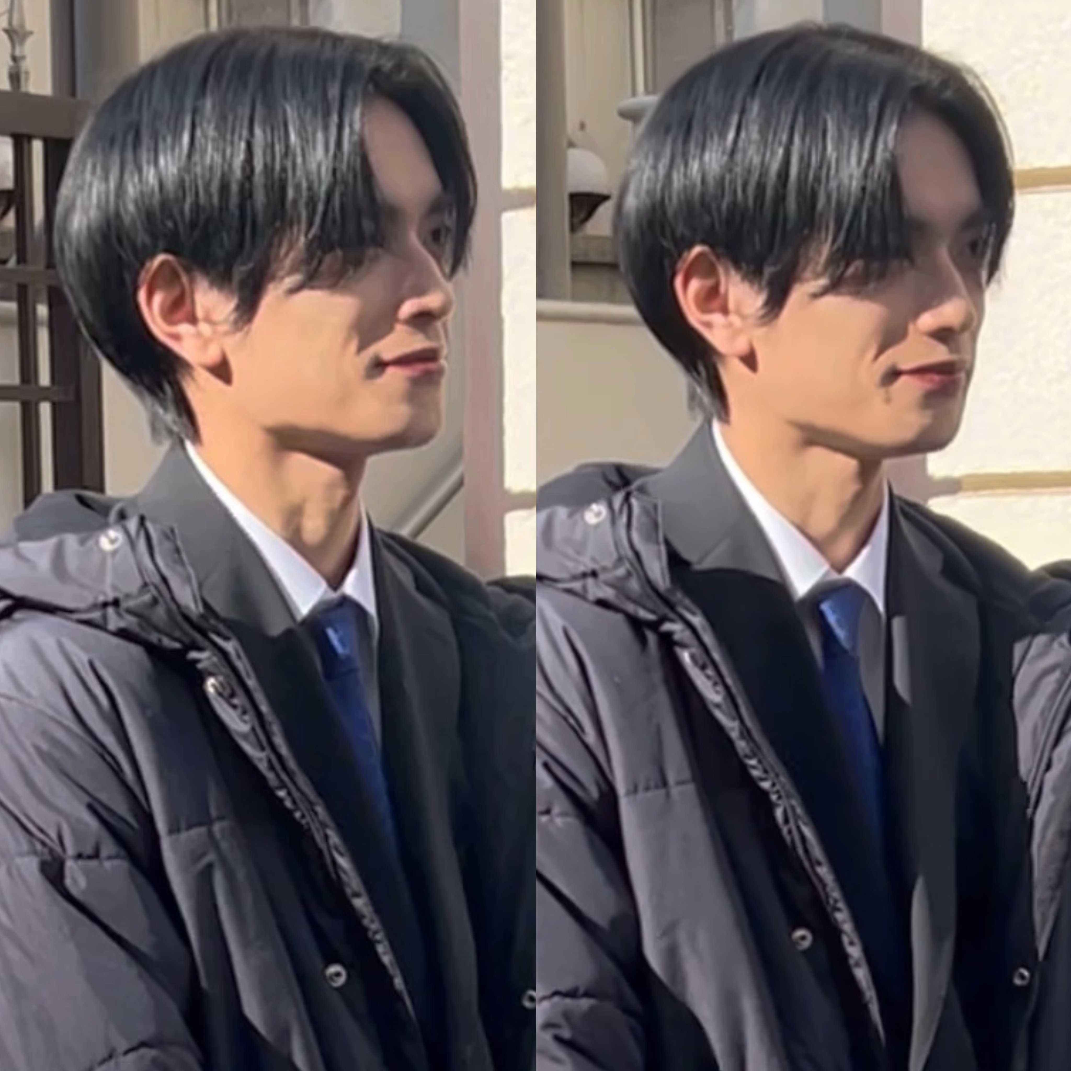 아쿄🐶🐨🐶🐱 on X: 