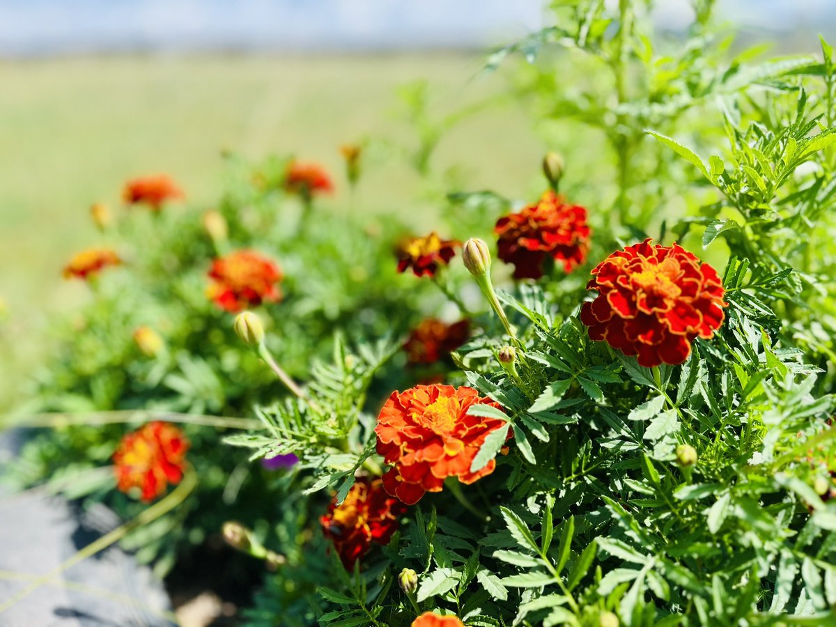 Tsengel30's tweet image. 🌬️Wednesday Mood🌥️🌥️

Хаврын салхитай өдрүүдэд нутаг, гэр, зуныг их санах юм даа...

On windy spring days, I miss my hometown, home, and summer.

#WednesdayMood #Springvibe #MissingHome🌬️🌥️🫧