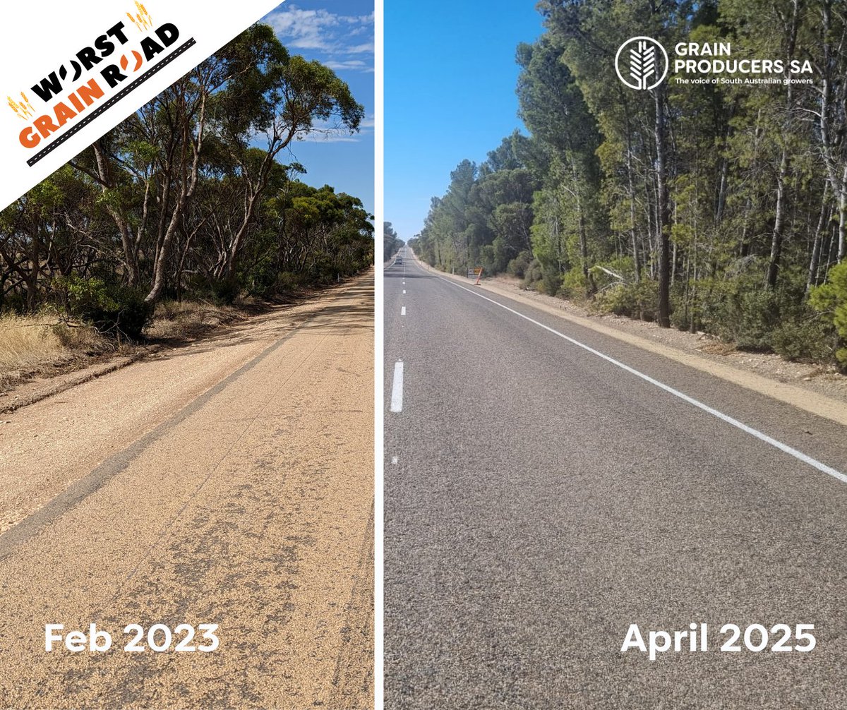 WORST GRAIN ROAD SUCCESS! Upper Yorke Road was in a terrible state of disrepair when it took out top spot in GPSA's Worst Grain Road Report. After a sustained campaign, the road was finally funded and last month the upgraded road was officially opened. It's fantastic to see the