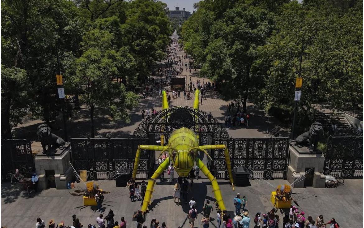 Si aún no tienes planes en CDMX, te recomendamos visitar “SPORA: Festival del Bosque”, en Chapultepec. Conoce los detalles: estilodf.tv/disfruta-de-un…

CC: Festival Chapultepec