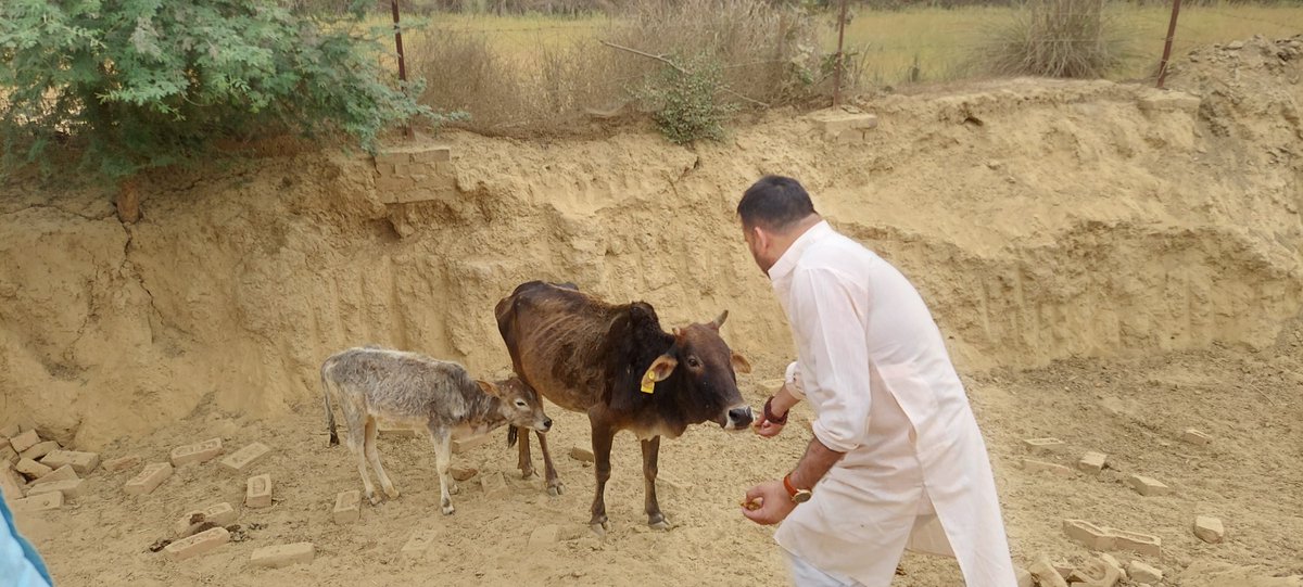 iDevendraBKM's tweet image. गौरक्षा में मानवता, स्वास्थ्य व संस्कृति की रक्षा निहित है, गाय हमारी रक्षा के साथ पर्यावरण की भी सुरक्षा करती है।
गाय के अलावा ऐसा कोई प्राणी नहीं जिसका पंचगव्य (गौमूत्र, गोबर, घी, दूध आदि) जन्म से लेकर मरण तक सभी शुभ और शोक कर्म में काम आता हो।
#CowProtection #SaveTheCow…